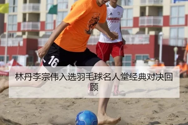 林丹李宗伟入选羽毛球名人堂经典对决回顾