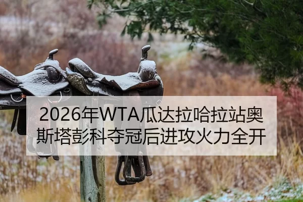 nian-gua-da-la-ha-la-zhan-ao-si-ta-peng-ke-duo-guan-hou-jin-gong-huo-li-quan-kai-2-527.jpg
