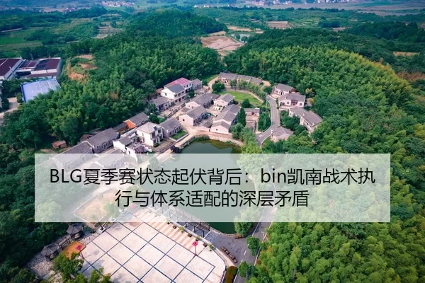 BLG夏季赛状态起伏背后：bin凯南战术执行与体系适配的深层矛盾
